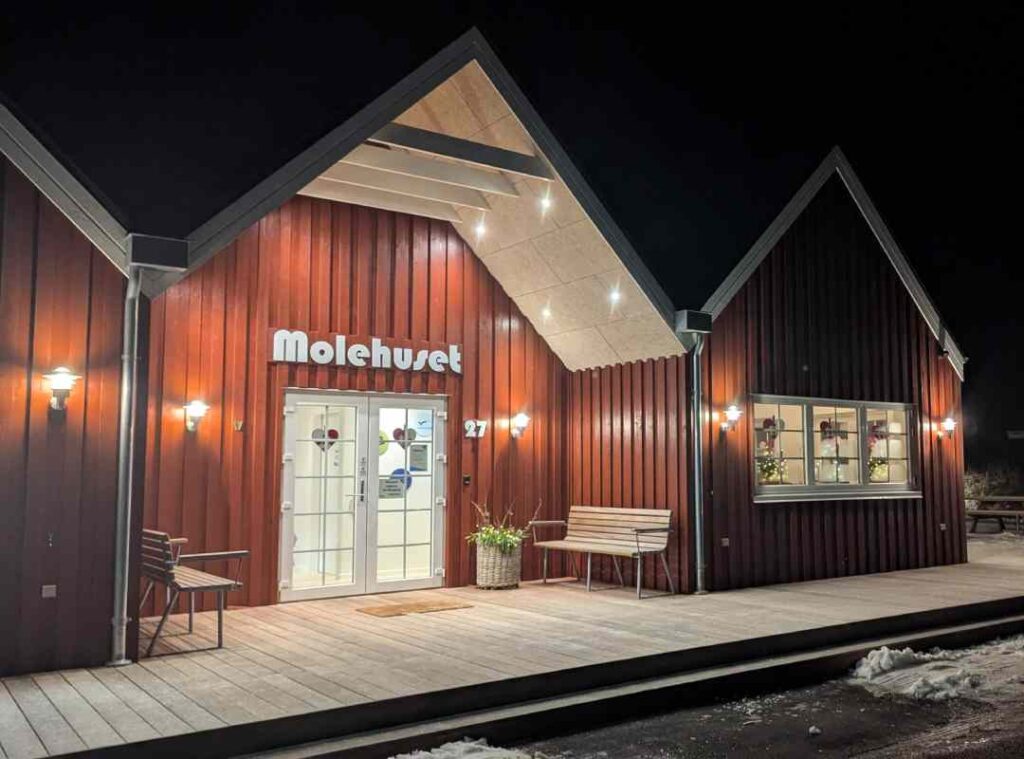 Molehuset vinter